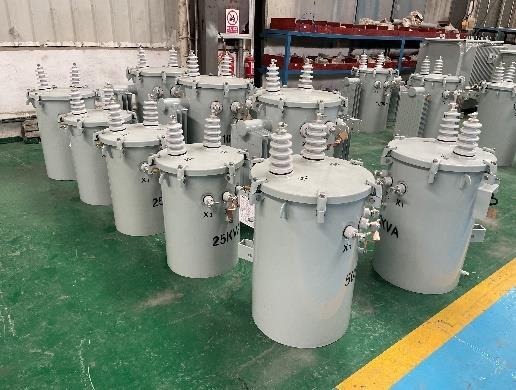 25-100 kVA 13.8/0.12(0.24) kV for Guyana